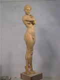Carving the Female Figure 1 - Ian Norbury - Video Download