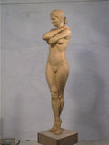Carving the Female Figure 1 - Ian Norbury - Video Download
